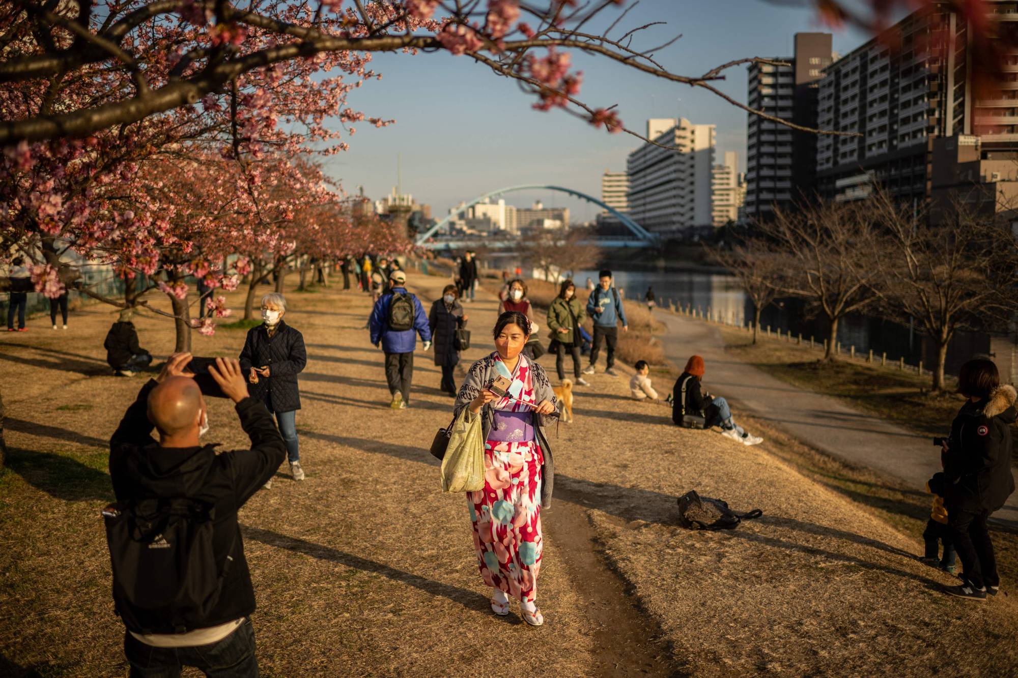 Japan Times