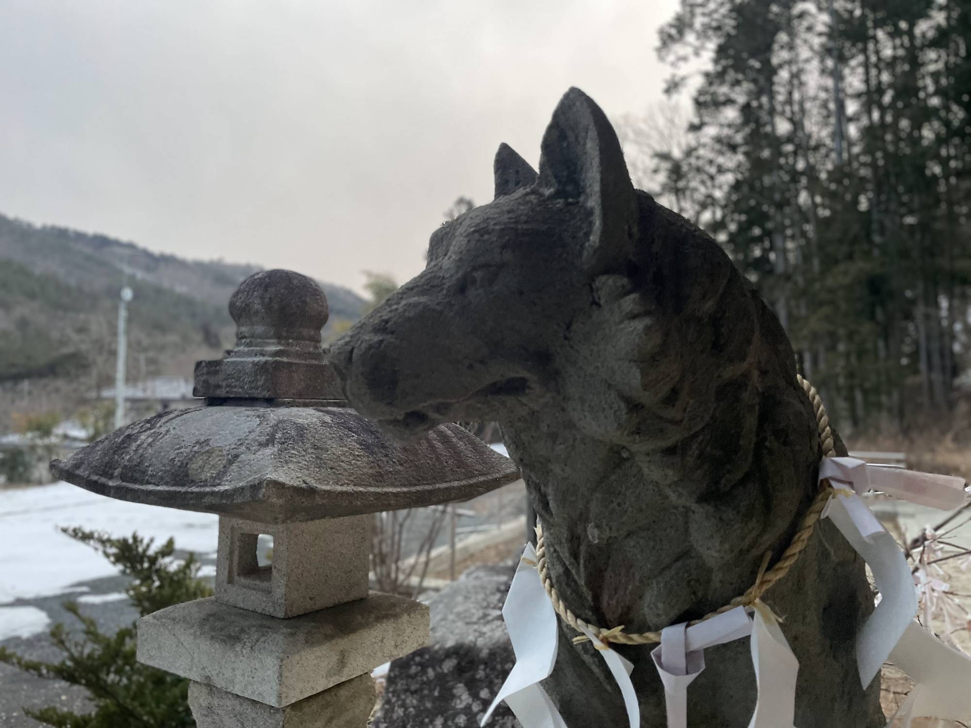 A stone wolf statue guards the entrance to Yamatsumi Shrine in the village of Iitate, Fukushima Prefecture. The Japanese wolf, considered extinct since 1905, has been worshiped in parts of Japan as a divine messenger and protector of farmland by preying on crop raiders — pests that have become a growing nuisance in the region following the 2011 Fukushima nuclear disaster. | ALEX K.T. MARTIN