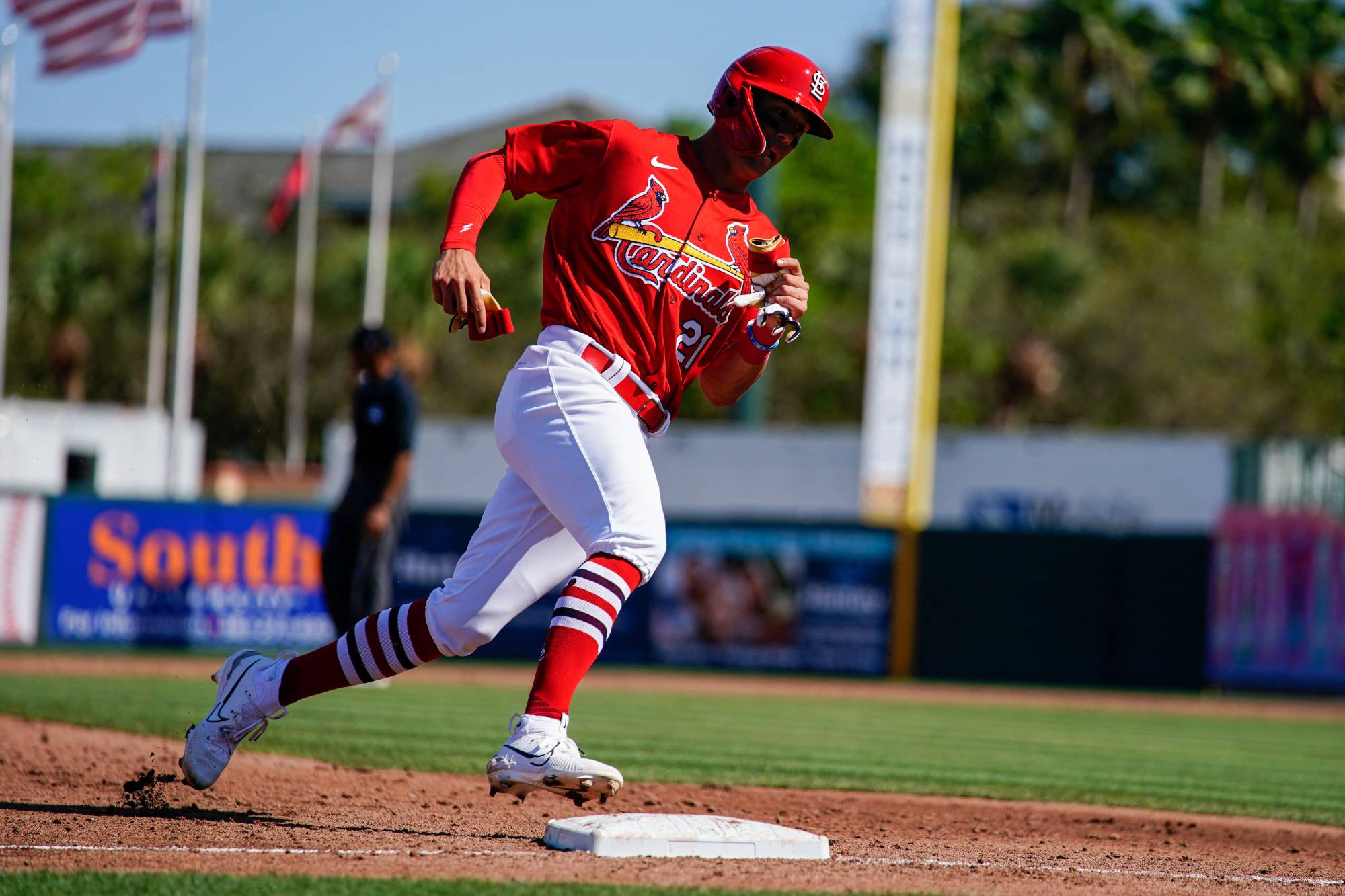 Cardinals' Lars Nootbaar happy to expand his baseball family with