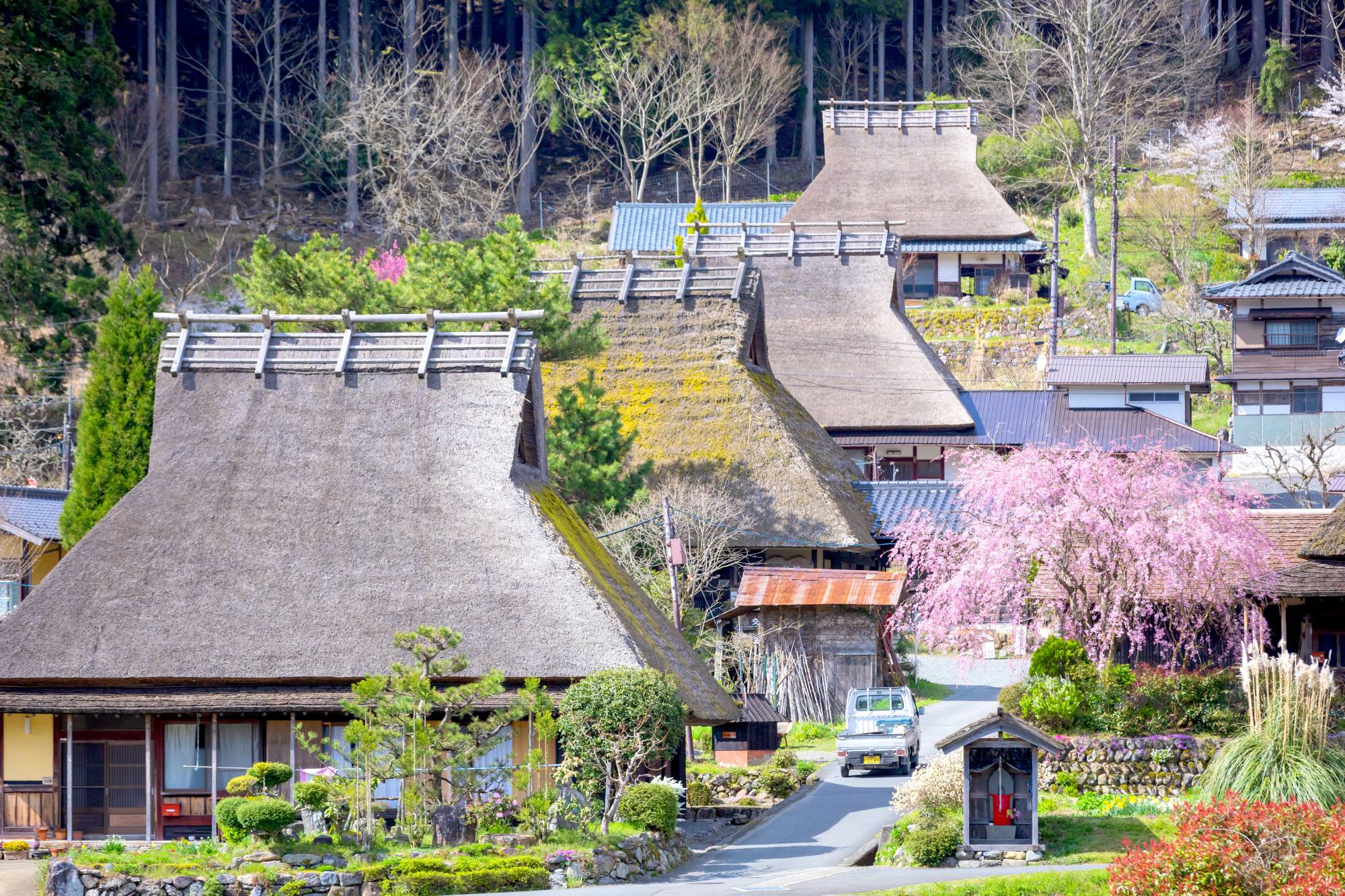 Japan Times