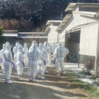 Workers quarantine a poultry farm in the city of Fukuoka, where cases of bird flue had been confirmed on March 2.  | FUKUOKA PREFECTURE / VIA KYODO