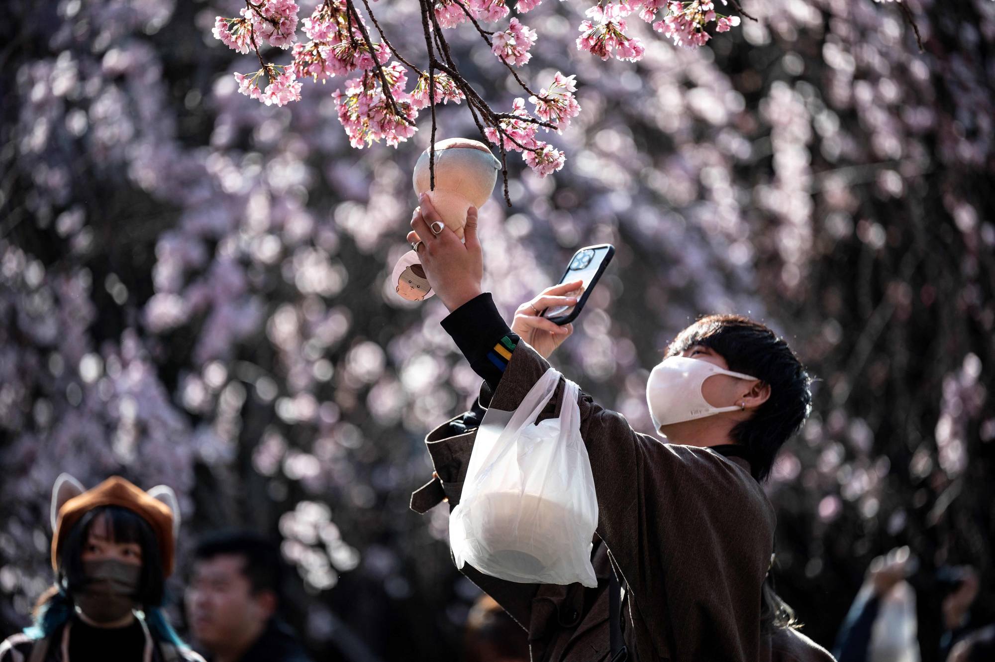 Japan Times