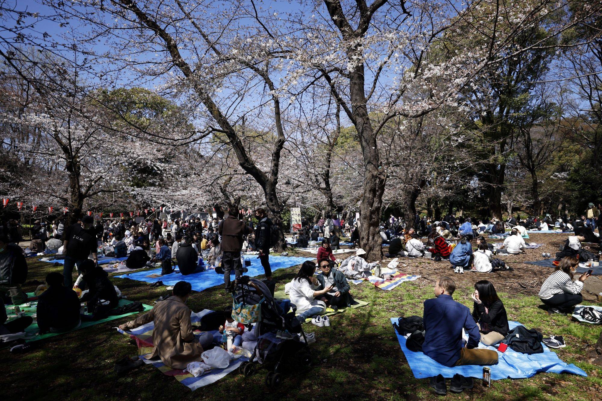 Japan Times