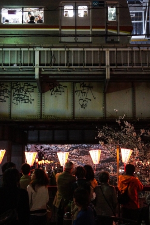 People gather along the canal in Tokyo's Nakameguro neighborhood to observe illuminated cherry blossoms at night. | JOHAN BROOKS