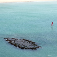 People swim and surf after an offshore oil spill hit near Atlit, Israel, in February 2021 | REUTERS 