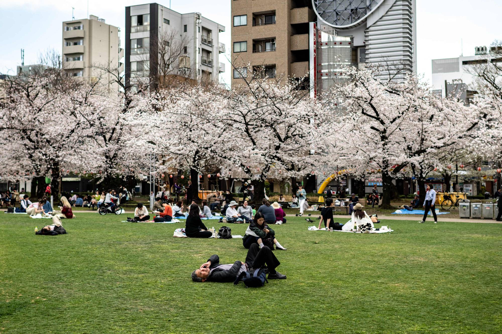 Japan Times