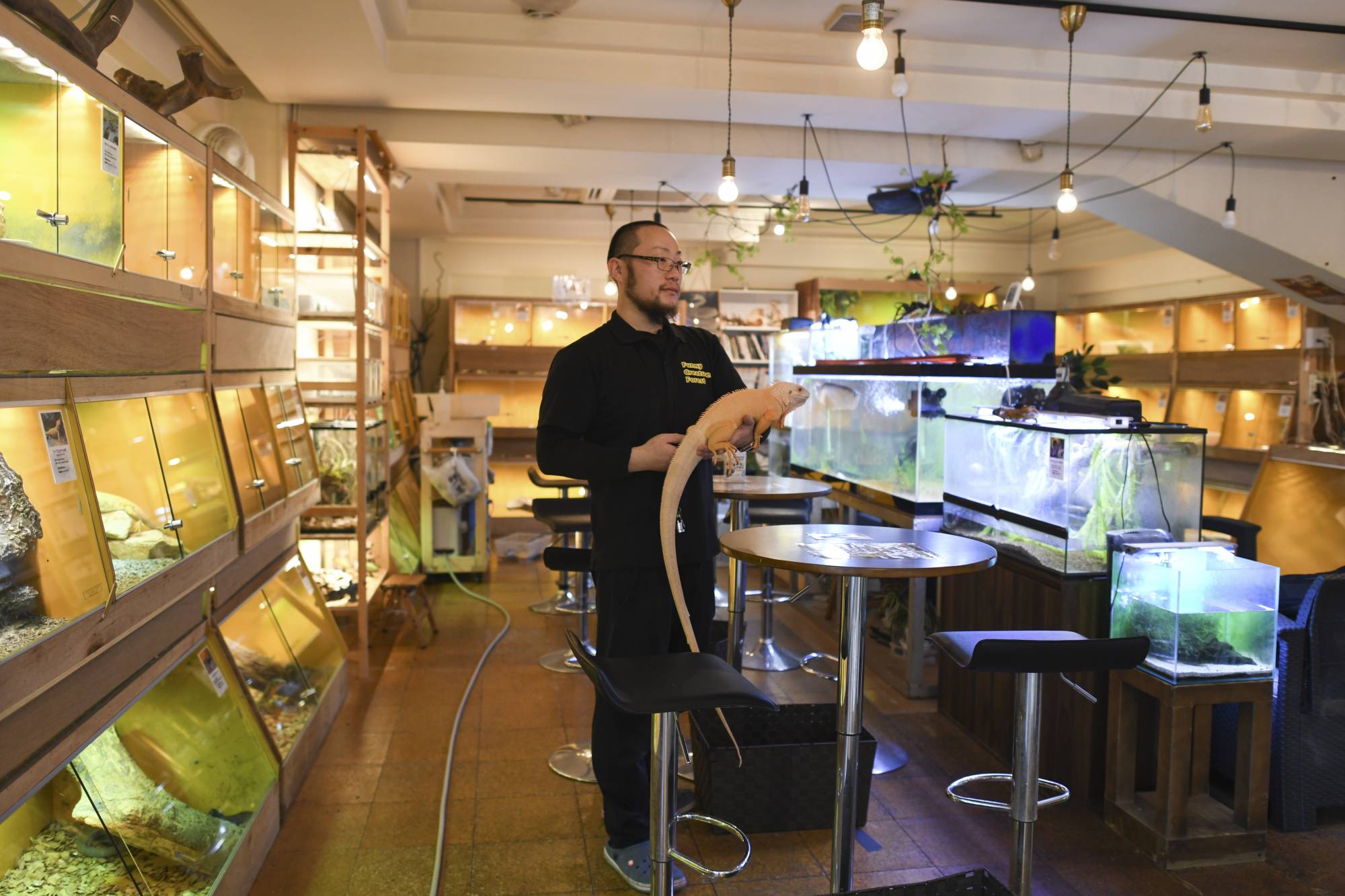 Kohei Kimura, the owner of Funny Creatures Forest, which displays mainly reptiles but also insects in Kyoto, Japan, in March. Kimura said he takes extra care to ensure he is not contributing to animal mistreatment or the keeping of protected species.  | NORIKO HAYASHI / THE NEW YORK TIMES