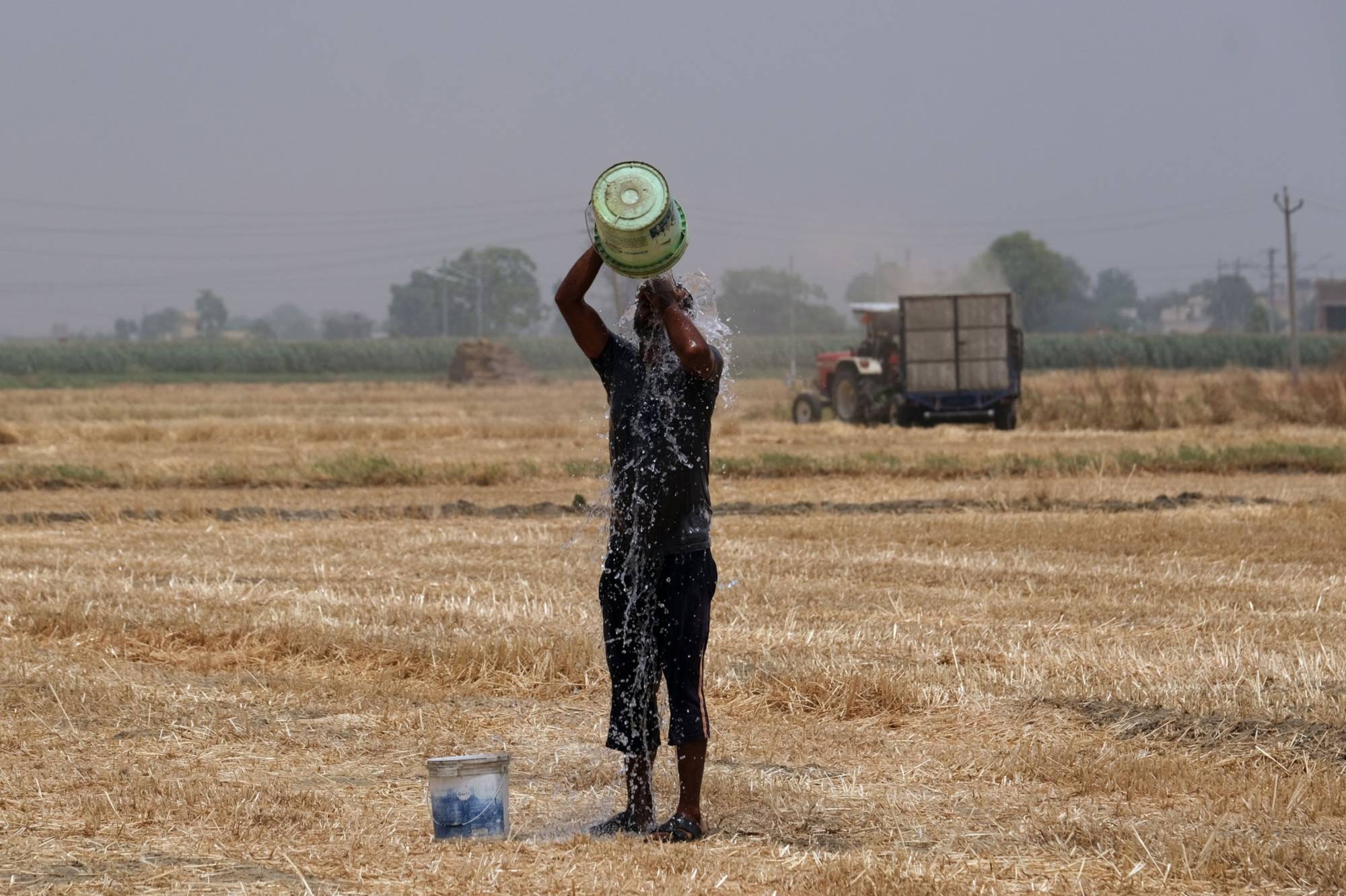 A farmer pours water on himself while working at a wheat farm in Punjab, India, in May 2022.  | BLOOMBERG