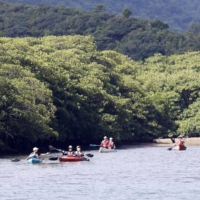 Tourists enjoy kayaking in Iriomote Island in Okinawa Prefecture in October 2021. | KYODO

