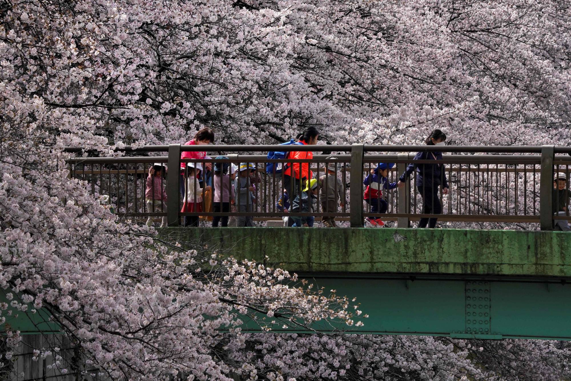 Japan Times