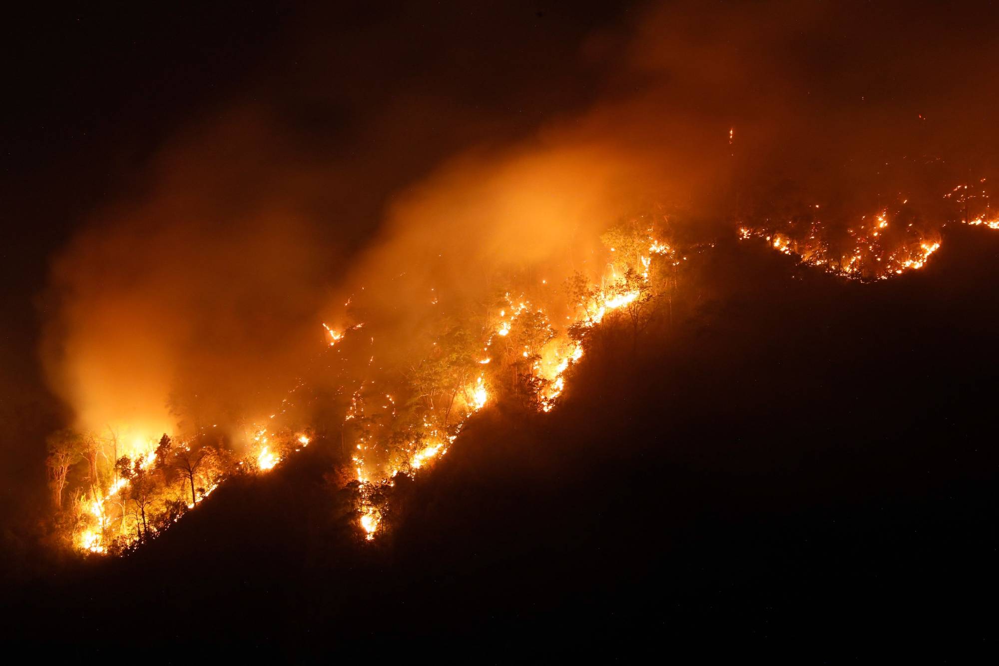 A forest fire in Nakhon Nayok province, northeast of Bangkok, on Thursday | THAI NEWS PIX / VIA AFP-JIJI