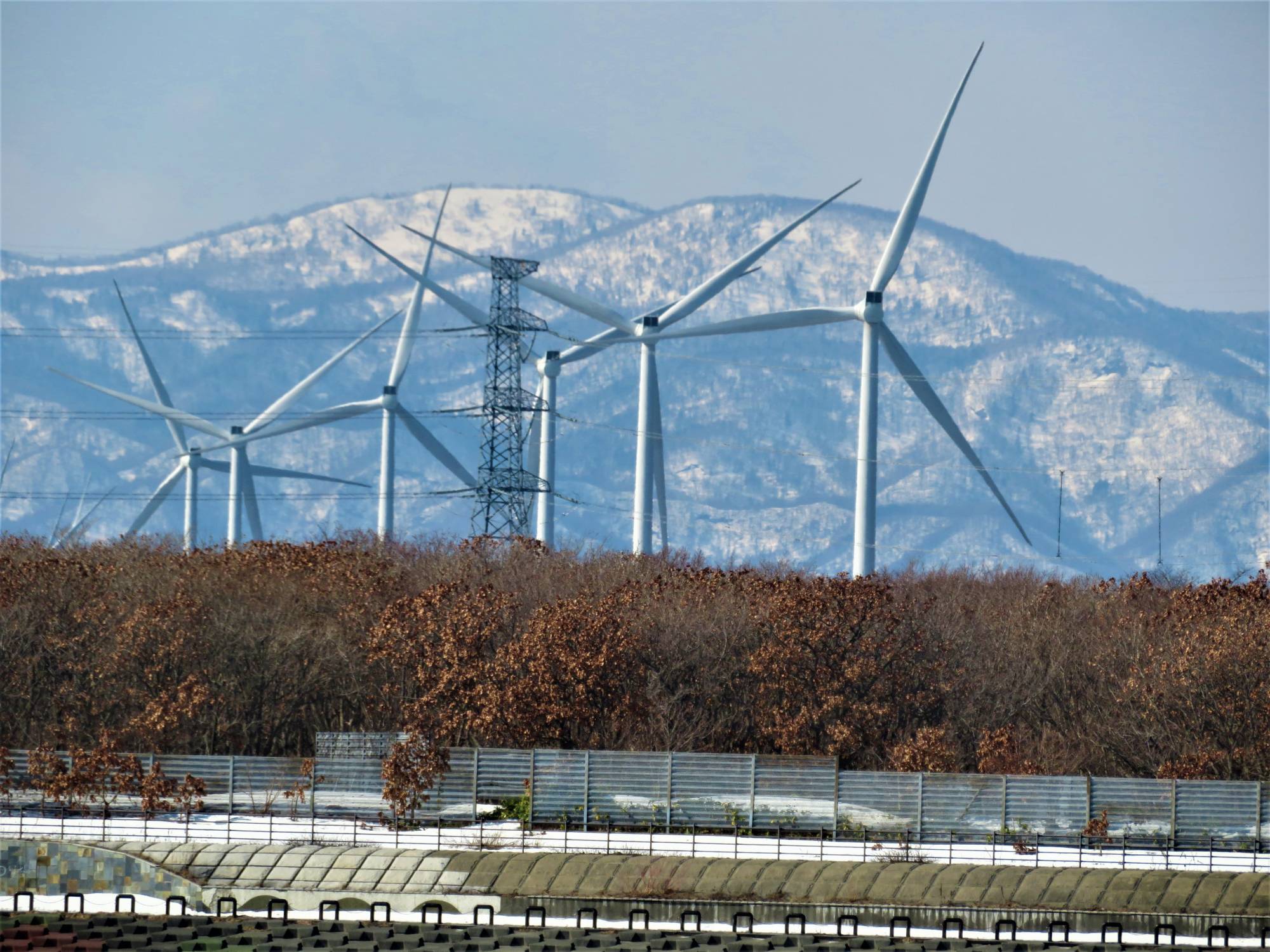 Wind turbines in Ishikari, Hokkaido, last month. The city on the Sea of Japan coast is hoping to be a key part of the prefecture's push to be a renewable energy hub.  | ERIC JOHNSTON
