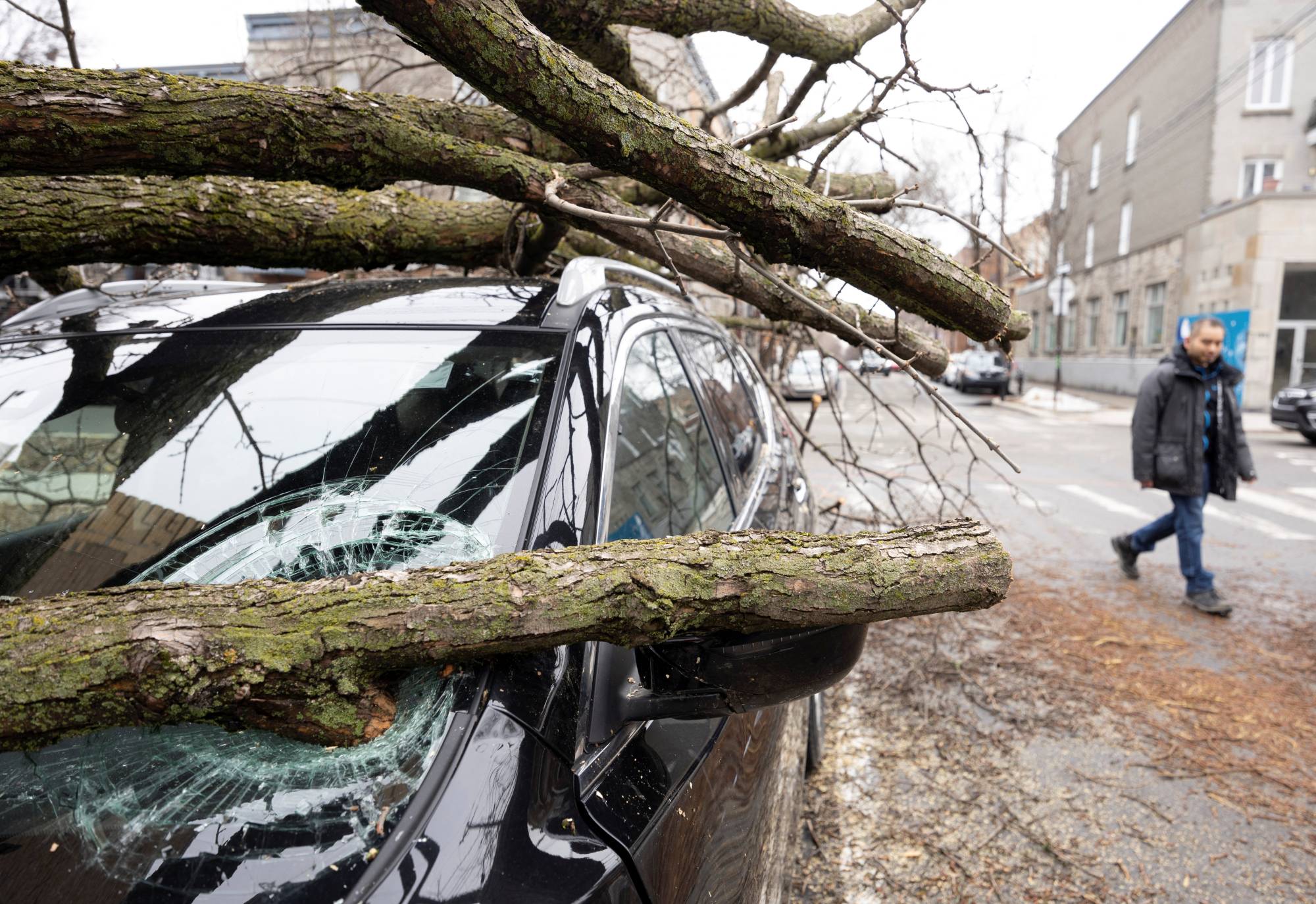 Fallen branches on a car in Montreal a day after freezing rain and strong winds cut power to more than a million people in Canada's two most populated provinces. | REUTERS