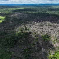 A deforested area of the Cachoeira Seca Indigenous reserve, in Uruara, Para State, Brazil, in January | REUTERS