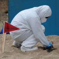 A worker of National Fisheries and Aquaculture Service checks a sea lion carcass buried in a beach in Vina del Mar, Chile, on April 9. | REUTERS