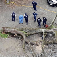A woman was killed and her husband seriously injured after a large tree fell on their tent in Sagamihara, Kanagawa Prefecture, on Sunday. | KYODO