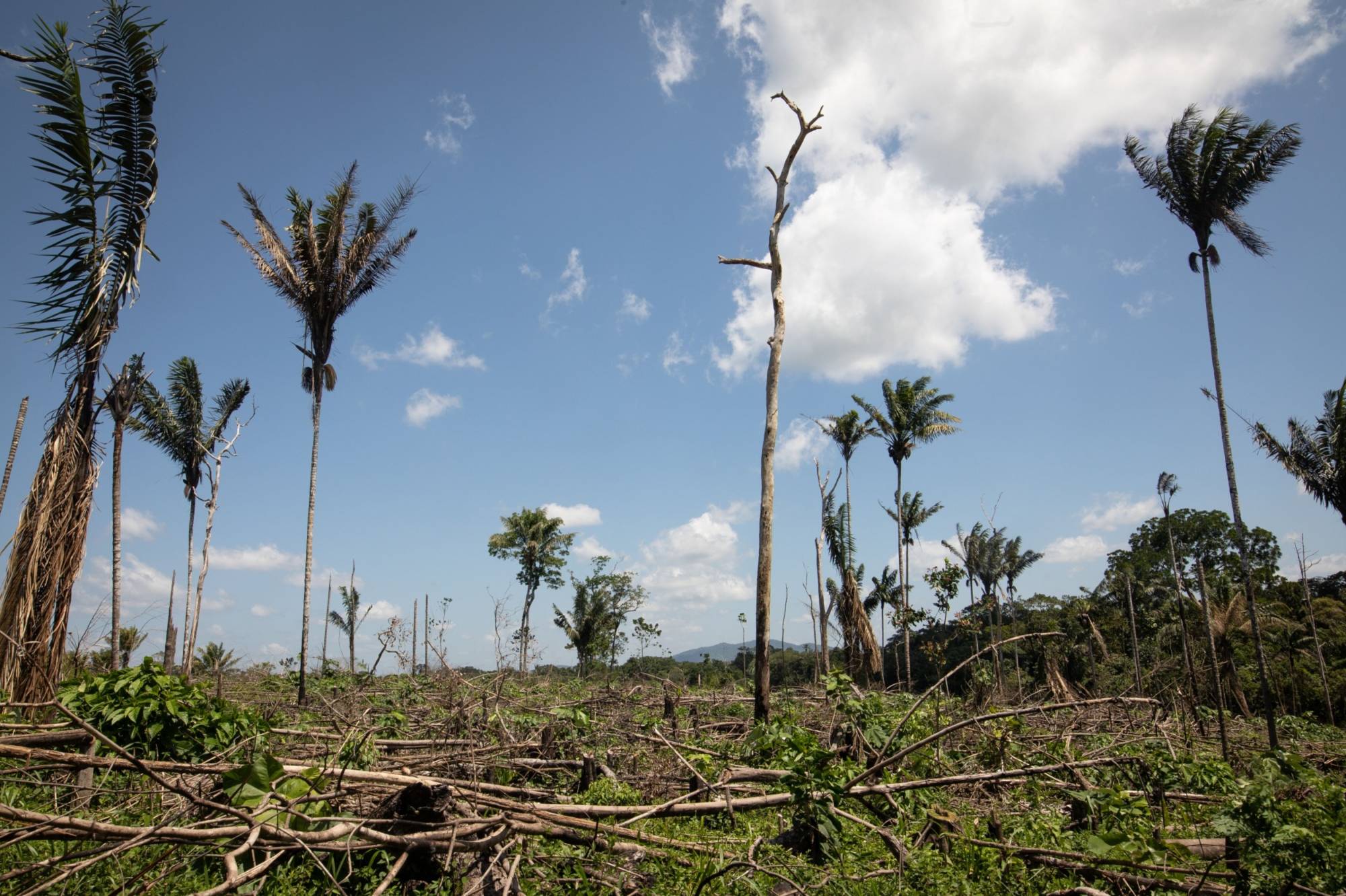 A deforested area near El Capricho, Guaviare department, Colombia, in November 2021. Deforestation is responsible for almost 15% of the world’s carbon dioxide emissions. | BLOOMBERG