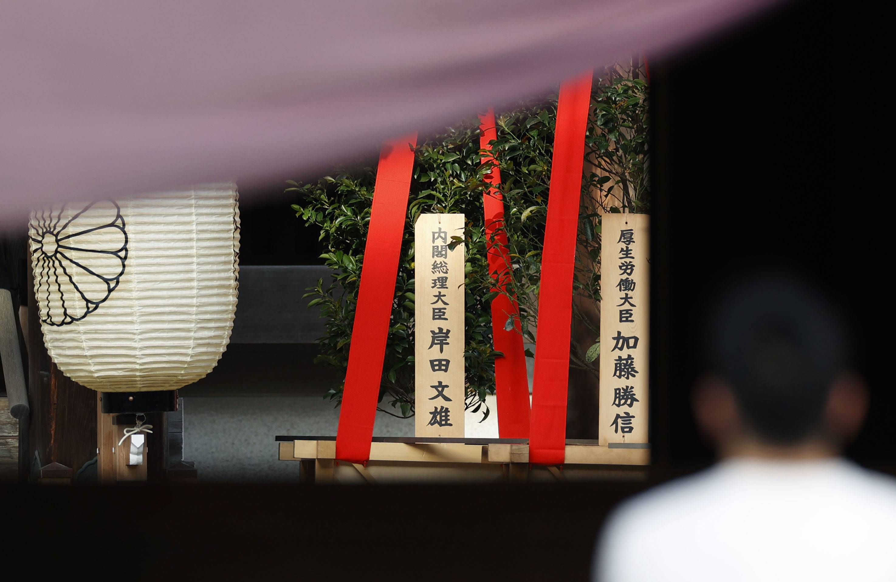 'Masakaki' ritual offering sent by Prime Minister Fumio Kishida and health minister Katsunobu Kato seen at Yasukuni Shrine in Tokyo on Friday | KYODO