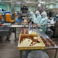About 70% of the populations of Minabe and Tanabe work in ume-related jobs. | MARA BUDGEN

