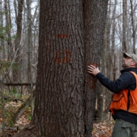 Weyerhaeuser, the largest U.S. logger, expects its business of selling carbon credits to bring in $100 million in annual profit by 2025. | REUTERS