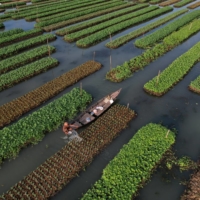 A farmer irrigates his floating bed, at his farm in Pirojpur district, Bangladesh, in August 2022.  | REUTERS