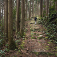 The Kumano Kodo is a series of ancient pilgrimage routes that crisscross the Japan\'s Kii Peninsula. | GETTY IMAGES