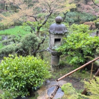 Water features like this basin are a common element in Japanese gardens.  | STEPHEN MANSFIELD
