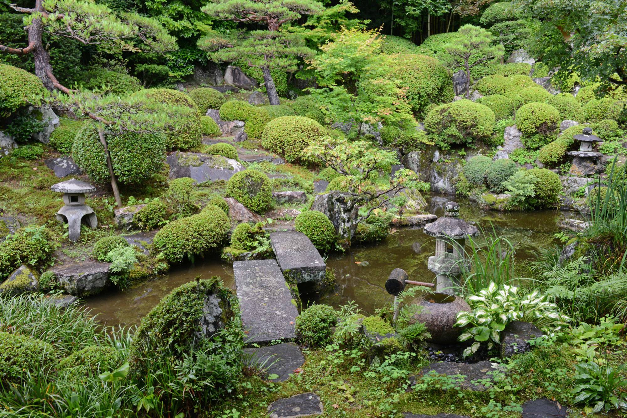 A garden in Kiso, Fukushima Prefecture, luxuriating in the summer rains | Stephen Mansfield 