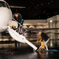 As flying commercial with pets becomes increasingly difficult, animal owners are turning to private aviation. | CLARK HODGIN / THE NEW YORK TIMES