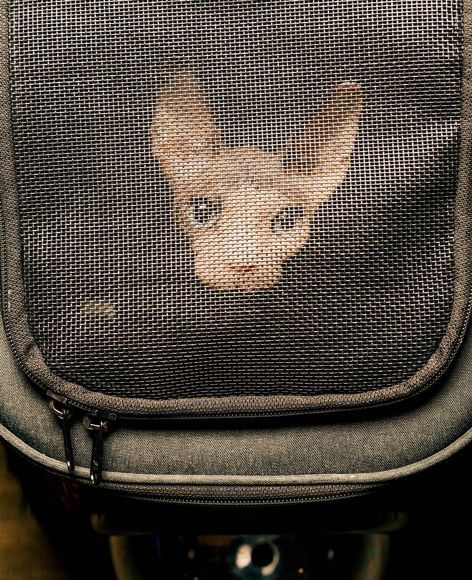 According to the U.S. Department of Transportation, more than 200 pets have died on flights in the past decade. | Clark Hodgin / The New York Times
