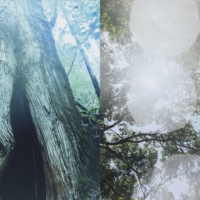 Tetsuo Kashiwada’s “nearly equal” project focuses on the coexistence between humans and nature. | © TETSUO KASHIWADA 
