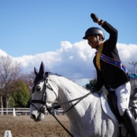 A former racehorse competes in the final round of the Retired Racehorse Cup held at Tokyo Racecourse on Dec. 18. | JRA