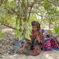 Binta Ba, a farmer, sits under a lime tree in Mboro on March 25. Since praising bokashi in a Whatsapp group, she has taught farmers in her community about the technique. | JACK THOMPSON