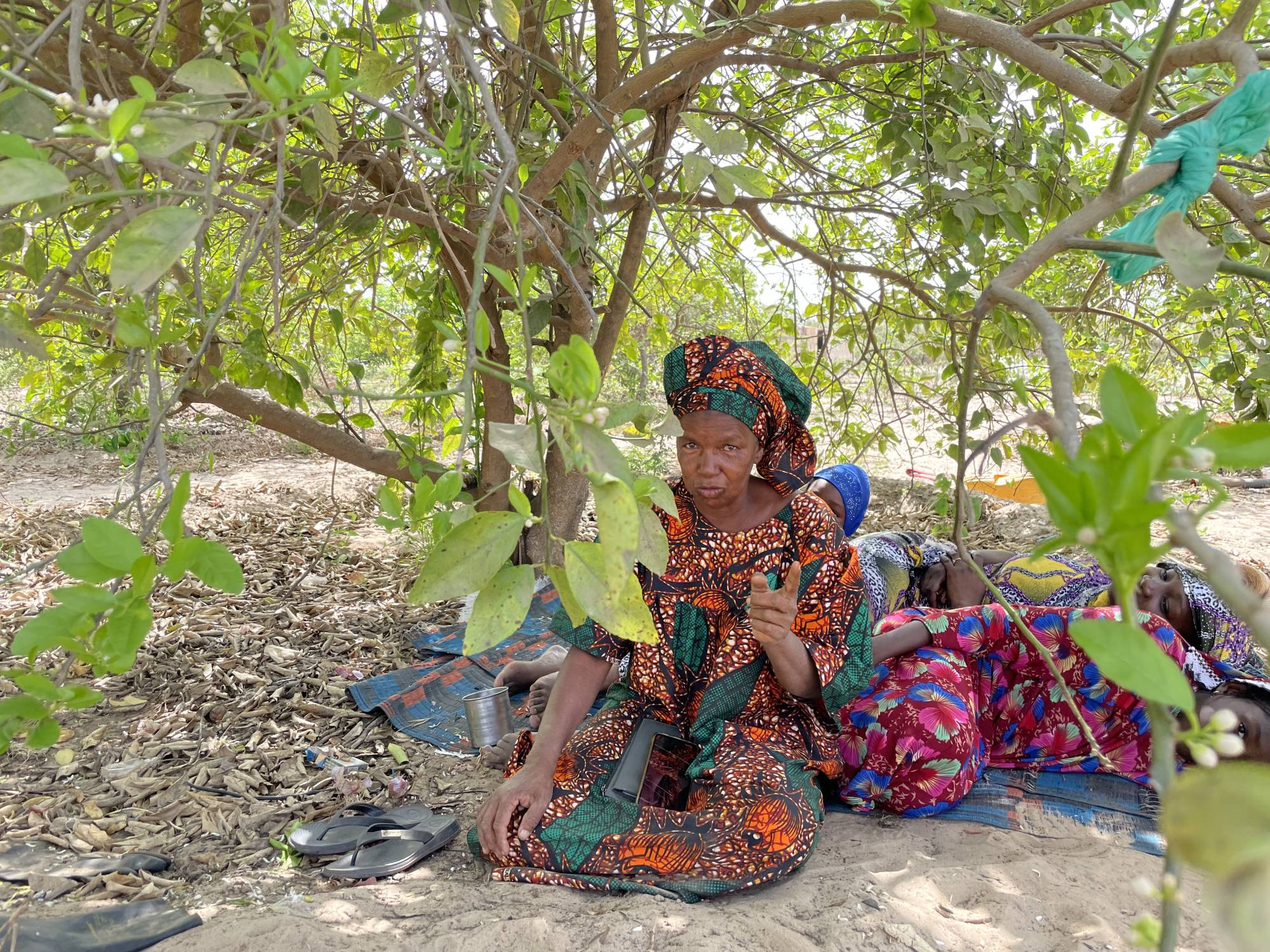 Binta Ba, a farmer, sits under a lime tree in Mboro on March 25. Since praising bokashi in a Whatsapp group, she has taught farmers in her community about the technique. | Jack Thompson