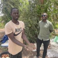Vegetable grower Fallou Faye (left) holds a bokashi mixture in Mboro, Senegal, on March 25. | JACK THOMPSON
