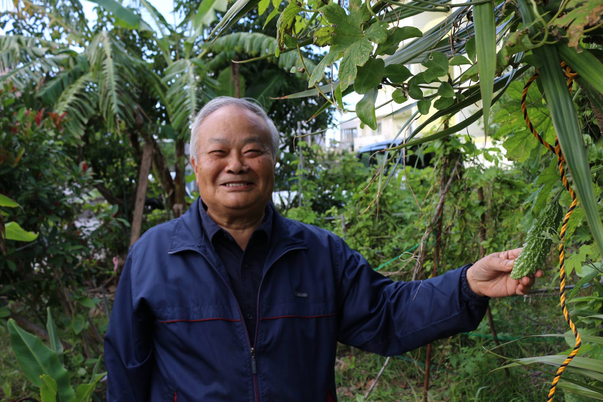 Teruo Higa, professor emeritus of horticulture at the University of the Ryukyus in Okinawa Prefecture, has played a key role in the popularization of bokashi, a fermentation-based fertilization method. | COURTESY OF TERUO HIGA