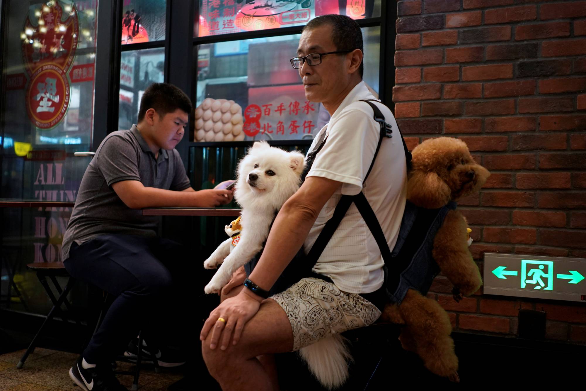 Pet dog market clearance