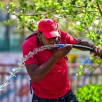 A man drinks from a hose on a hot summer afternoon in Prayagraj, India, earlier this month.  | AFP-JIJI