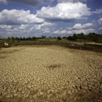 A pond is dried up due to an El Nino-induced drought, in Jones, Isabela province, the Philippines, in 2010. | BLOOMBERG
