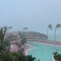 Trees sway due to strong winds from typhoon Mawar, in Tamuning, Guam, on Wednesday, in this screen grab obtained from social media.  | M.F. PEOPLES / VIA REUTERS  