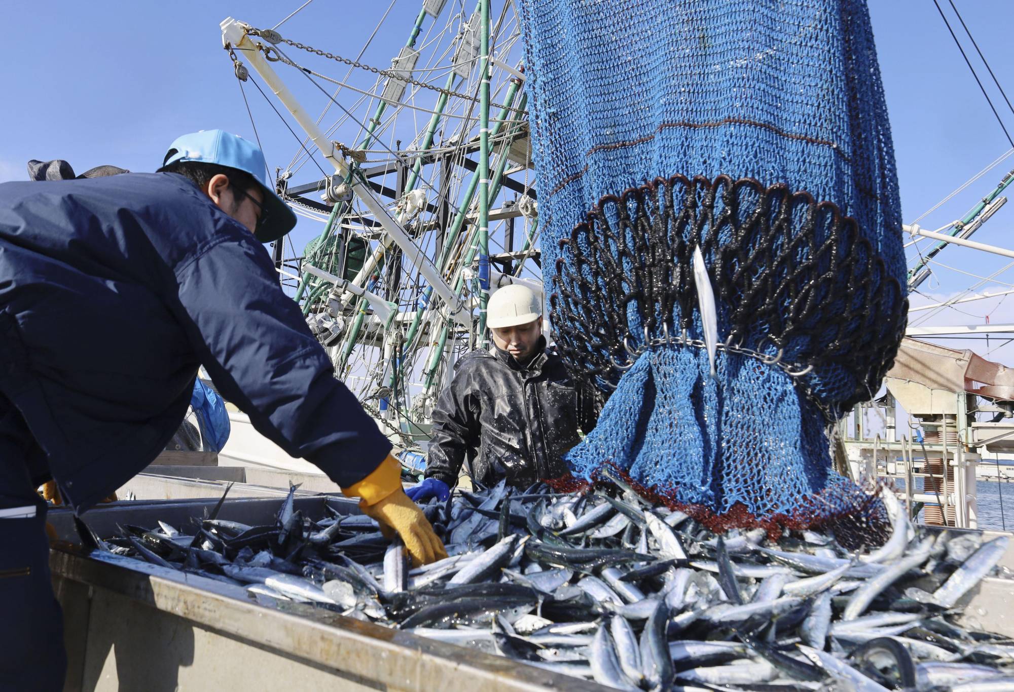 Japan's 2022 fish catch hit record low amid global warming - The Japan Times