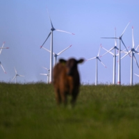 The debate continues on which climate technologies deserve our support and which are distractions that could lull us into complacency with the false promise of a silver bullet. | AFP