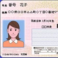 An individual\'s pension records were shared with a user of a related website due to a mistake involving the linkage of data to their My Number personal identification number, the government said Monday. | KYODO