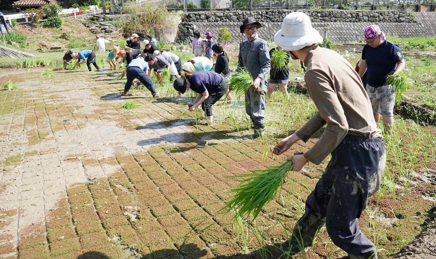 Japan Times