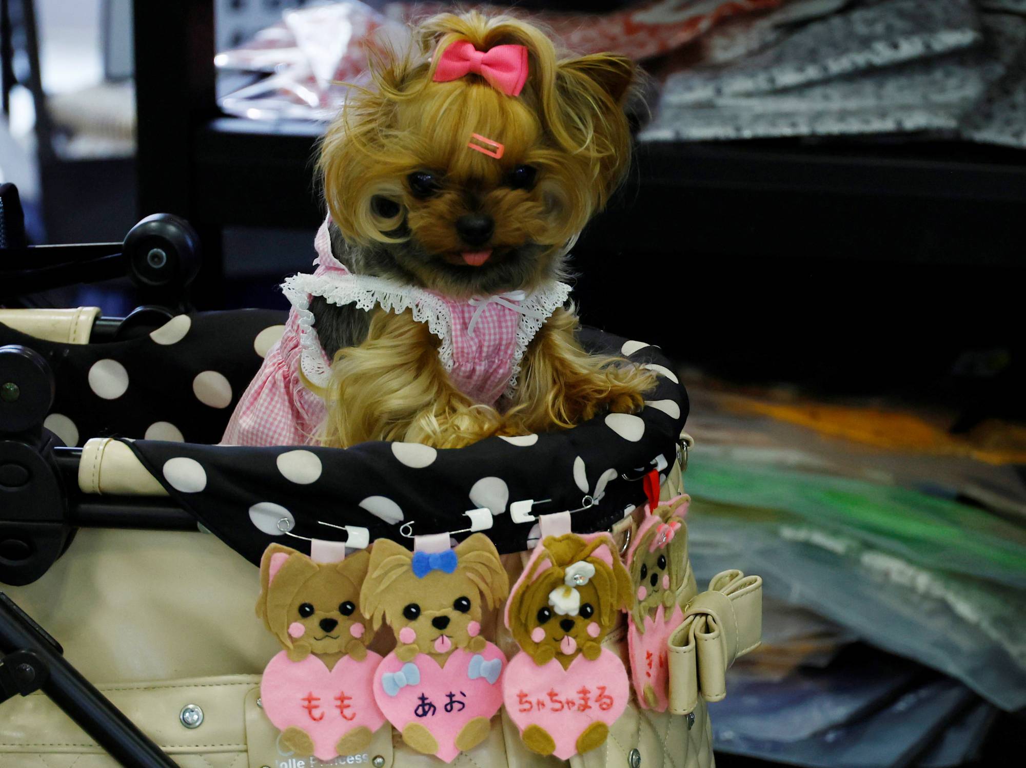 A pet dog sits in a pet stroller at Interpets in Tokyo in March 2022. | REUTERS