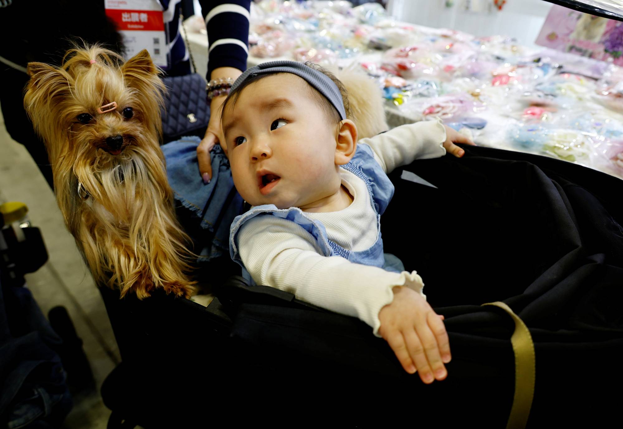Why East Asia s stroller brands have started chasing fur babies