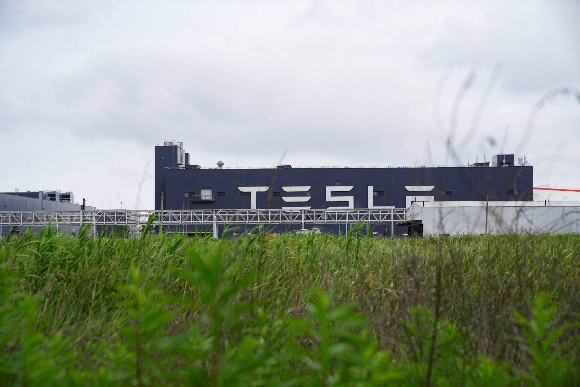 A field next to Tesla's factory in Shanghai. Construction of Tesla's Shanghai plant took less than a year to complete after it broke ground on the site in 2019. | REUTERS