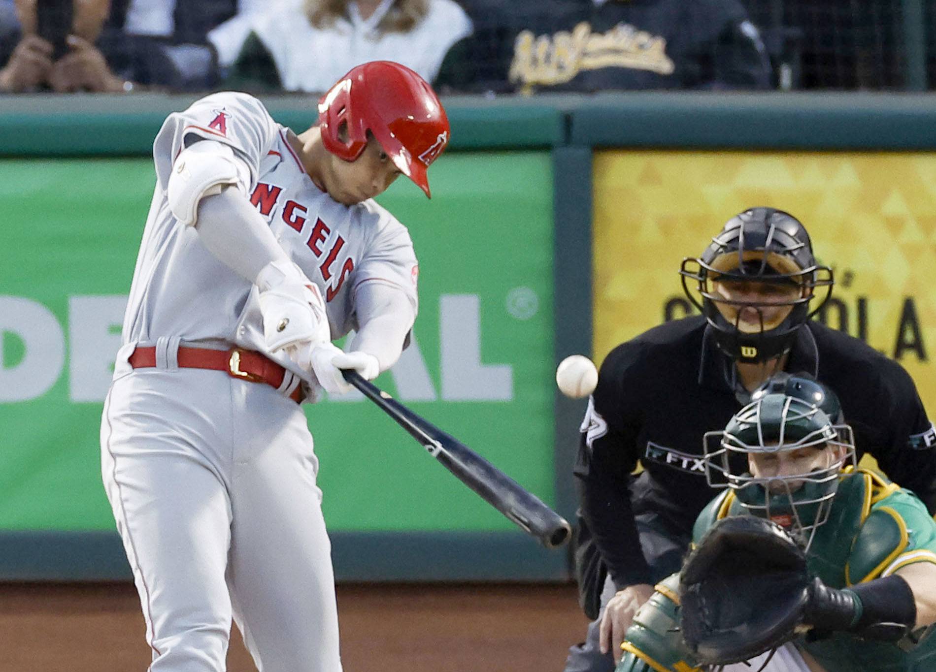 Shohei Ohtani leads AL in votes to earn spot as starting DH for All-Star  Game - The Japan Times