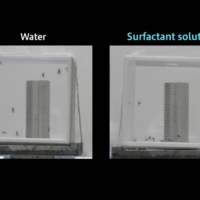 Mosquitos sprayed with water (left) fly in a cage, while those sprayed with a surfactant solution are unable to fly. | COURTESY OF KAO