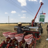 Farmers spread fertilizer in a recently harvested wheat field in Luohe, China, on June 15.  | QILAI SHEN / THE NEW YORK TIMES